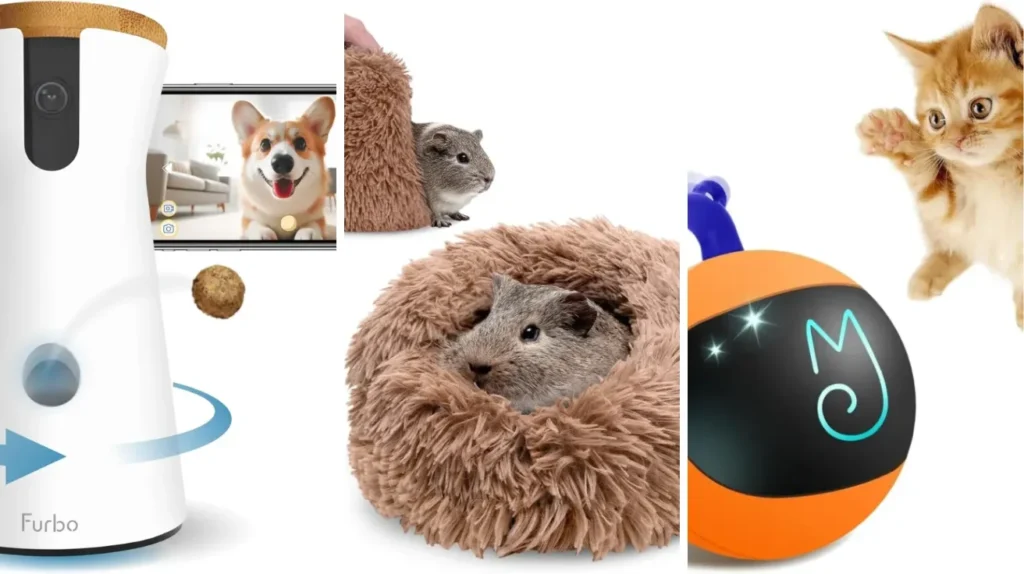 22 Must Have Amazon Pet Products That Your Furry Friend Will Adore
