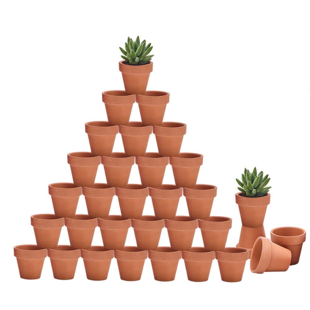 Mini terracotta planter pots set for succulents and herbs