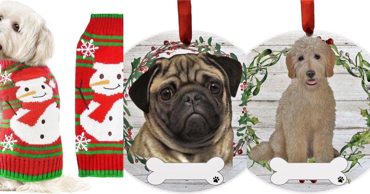 15 best christmas gifts for dog lovers featured